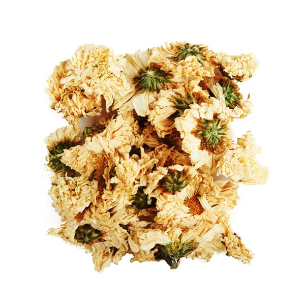 Ju Hua Chrysanthemum